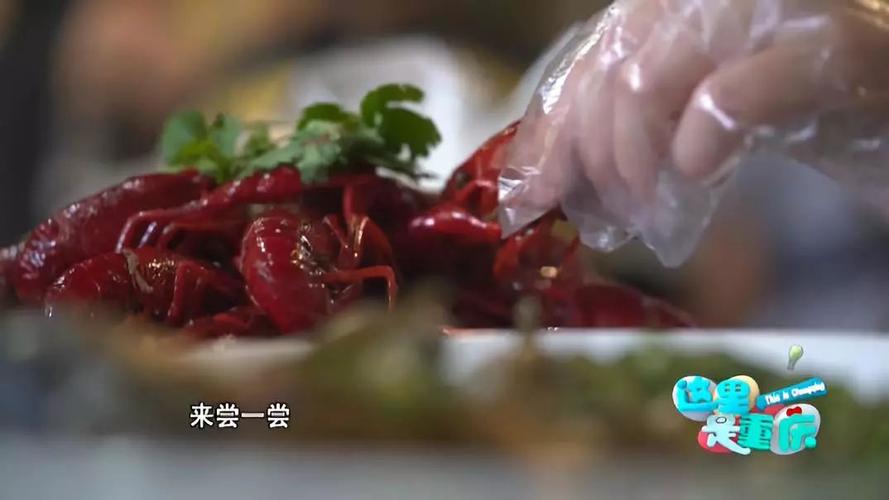重庆美食节目视频涛哥
